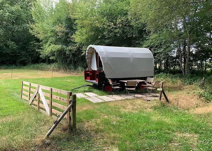 Huifkar In Landelijke Omgeving De Mersken 9 Ureterp