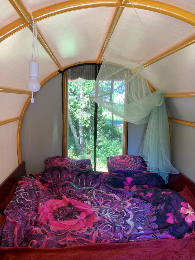Luxury tent Huifkar In Landelijke Omgeving De Mersken 9